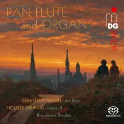 Requiem for Pan Flute, Organ and Harp in D Minor, Op. 48: No.1, In Paradisum Song Lyrics