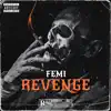 Revenge album lyrics, reviews, download