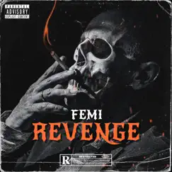 Revenge by Femi album reviews, ratings, credits