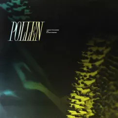Pollen Song Lyrics