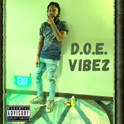 D.O.E. Vibez by Dnelldoe album reviews, ratings, credits