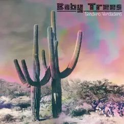 Sendero Verdadero by Baby Trees album reviews, ratings, credits