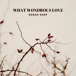 What Wondrous Love - Single by Sarah Hart album reviews, ratings, credits