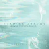 Flaming Arrows (David Thulin Remix) - Single album lyrics, reviews, download