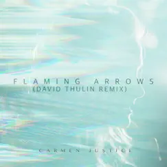 Flaming Arrows (David Thulin Remix) Song Lyrics