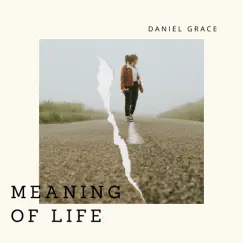 Meaning of Life - Single by Daniel Grace album reviews, ratings, credits