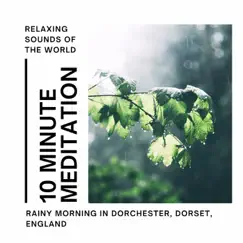 10 Minute Meditation - Rainy Morning in Dorchester, Dorset, England - Rain, Nature Ambience - EP by Relaxing Sounds of the World album reviews, ratings, credits