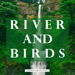 River and Birds Sounds for Relaxing by Study Music & Sounds & Study Alpha Waves album reviews, ratings, credits