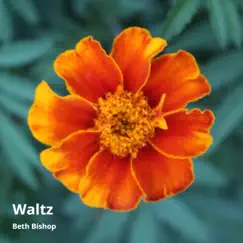 Waltz - Single by Beth Bishop album reviews, ratings, credits