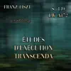 S. 139/ LW A172, Études d'exécution transcendante album lyrics, reviews, download