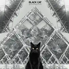 Black Cat Song Lyrics