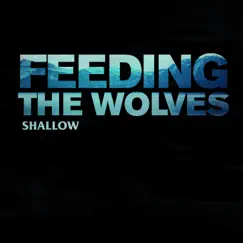 Shallow - EP by Feeding The Wolves album reviews, ratings, credits