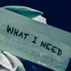 What I Need - Single album lyrics, reviews, download