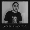 DORES E CICATRIZES - Single album lyrics, reviews, download