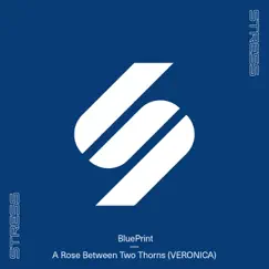 A Rose Between Two Thorns (VERONICA) - Single by BluePrint album reviews, ratings, credits