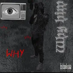 Why Him? by YSK LEEK album reviews, ratings, credits