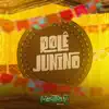 Rolê Junino - Single album lyrics, reviews, download