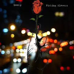 Picking Flowers - Single by Gooty album reviews, ratings, credits