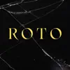 Roto - Single album lyrics, reviews, download