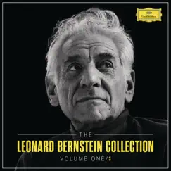 Symphony No. 9 in D Minor - Edition: Leopold Nowak: 3. Adagio. Langsam, feierlich (Live From Grosser Saal, Musikverein, Vienna / 1990) Song Lyrics