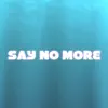 Say No More (feat. Eugene Prendi) [Radio Edit] [Radio Edit] - Single album lyrics, reviews, download