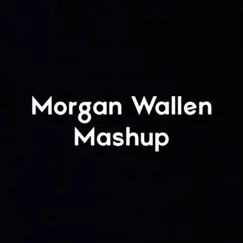 Morgan Wallen Mashup - Single by Chris Ray album reviews, ratings, credits