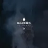 Immersed Elements 05 - EP album lyrics, reviews, download