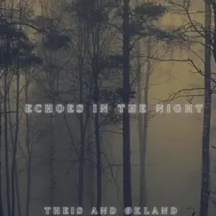 Echoes In the Night (feat. Joakim Theis & Sten Erik Økland) Song Lyrics