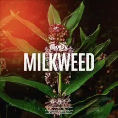 Milkweed Song Lyrics