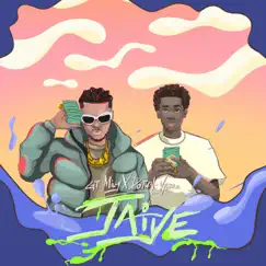 Jaiye (feat. Dotun-vybez) Song Lyrics