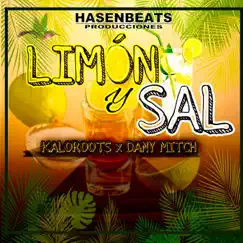 Limón y Sal Song Lyrics