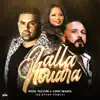 Lalla Noura (Remix) - Single album lyrics, reviews, download