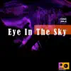 Eye in the Sky - Single album lyrics, reviews, download