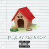 Pick of the Litter - Single album lyrics, reviews, download