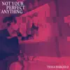 Not Your Perfect Anything - Single album lyrics, reviews, download