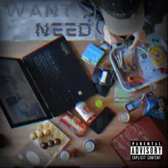 Want/Need - Single by Indycysive album reviews, ratings, credits