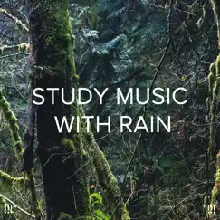 Rainfall Rainforest Song Lyrics