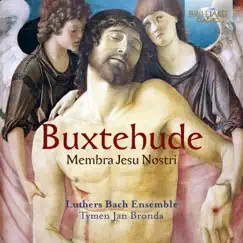 Membra Jesu Nostri, BUXWV 75, cantata IV ad latus: IV. Ecce tibi appropinquo Song Lyrics