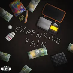 Expensive Pain - Single by Ruzify album reviews, ratings, credits