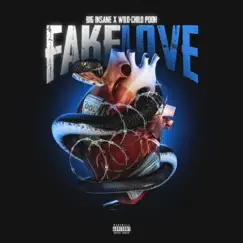 Fake Love (feat. Big Insane & Wild-Child Pooh) - Single by KutthroatGangg album reviews, ratings, credits