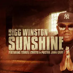 Sunshine (feat. Terrell Carter & John Gray) - Single by Bigg Winston album reviews, ratings, credits