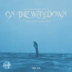 On the Way Down (feat. Trippz Michaud) Song Lyrics