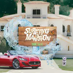 Surfing in a Mansion Song Lyrics