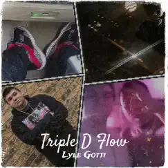 Triple D Flow - Single by Lyle Gotti album reviews, ratings, credits