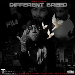 Different Breed - Single by Sbg Goon album reviews, ratings, credits
