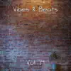 Vibes & Beats, Vol. 14 album lyrics, reviews, download