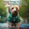 Hang Drum to Calm Your Stressed Out Pup (Rain Sounds) album lyrics, reviews, download