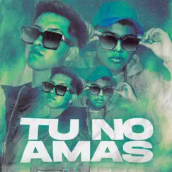 Tu no amas Song Lyrics