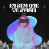 Eu Bem Que Te Avisei (Remix) song lyrics