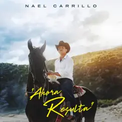 Ahora Resulta - Single by Nael Carrillo album reviews, ratings, credits
